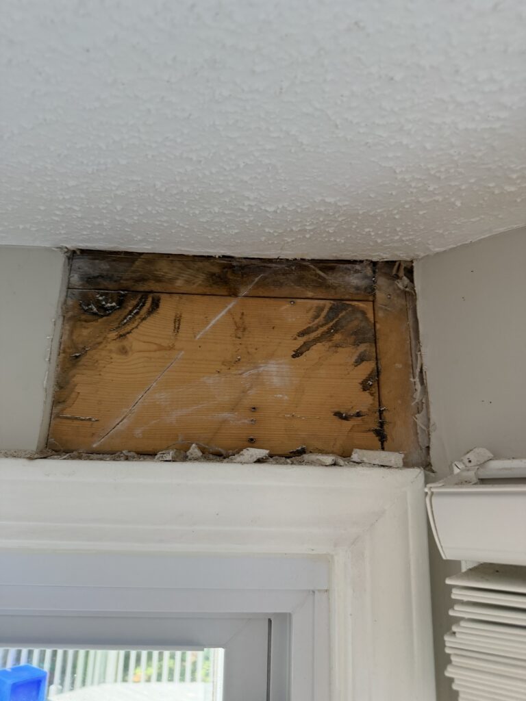Mold Remediation Services in Asheville — asheville