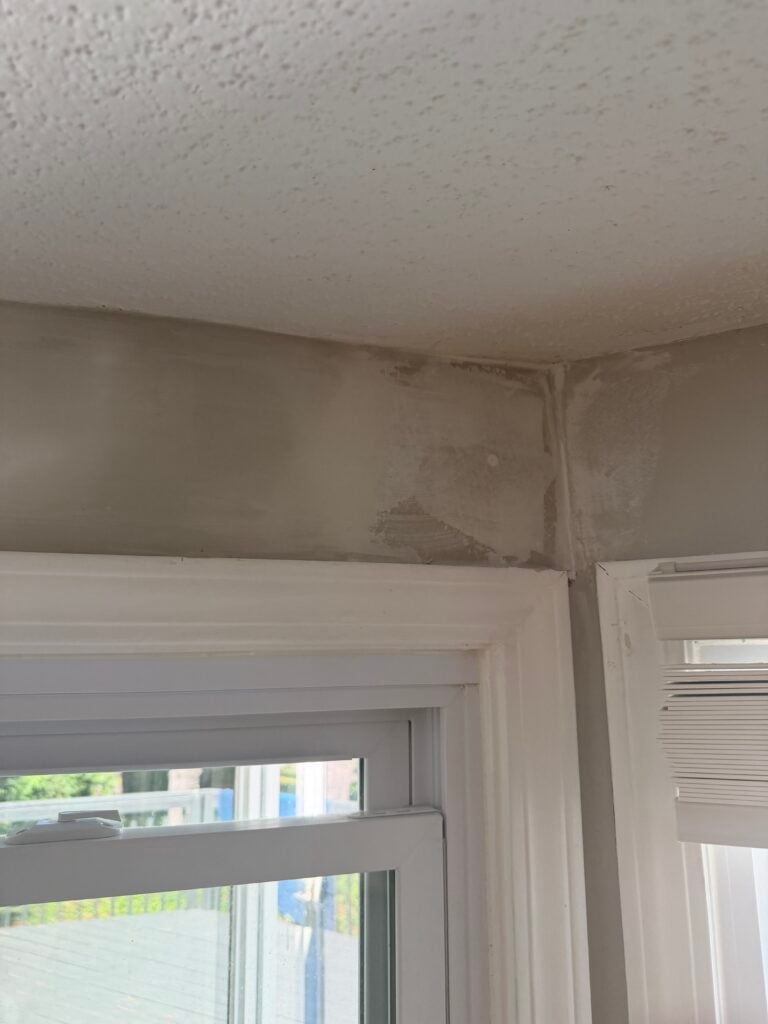 Mold Remediation Services in Asheville — asheville nc
